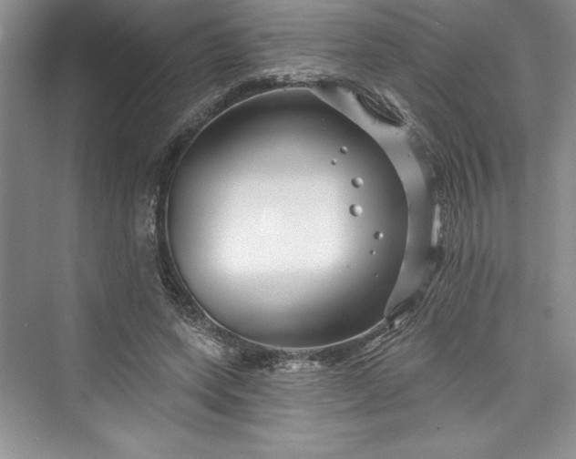 X0000073420543200608111353