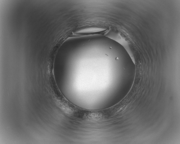 X0000073420546200608111353