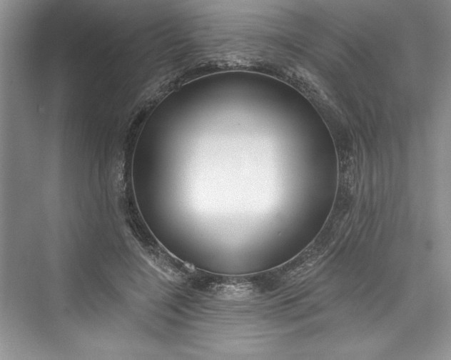 X0000073420548200608111354