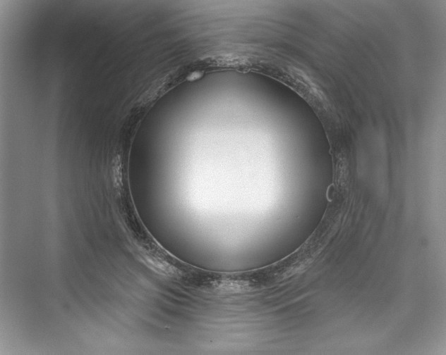 X0000073420549200608111354