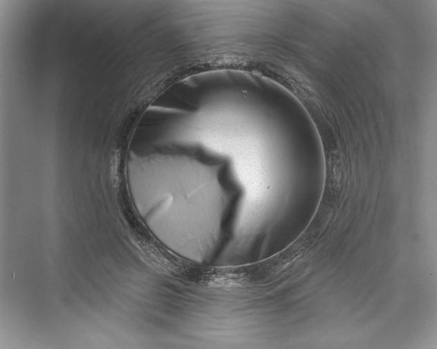 X0000073420550200608111354