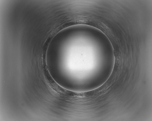 X0000073420552200608111354