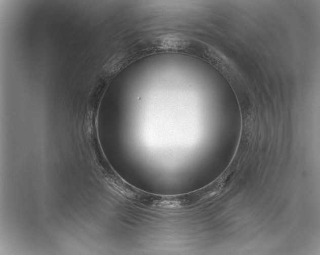 X0000073420554200608111354