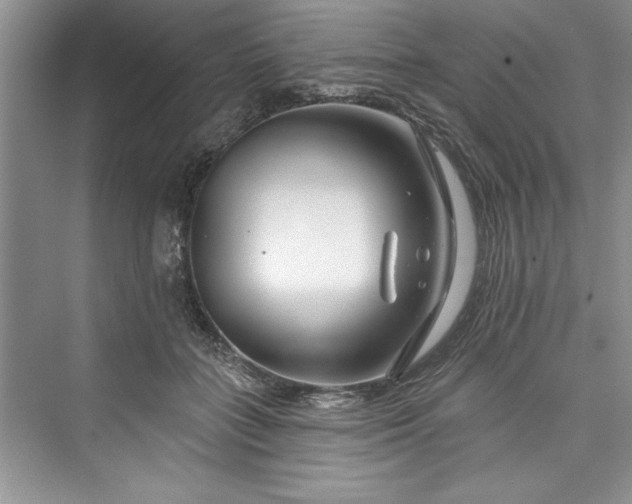 X0000073420555200608111354