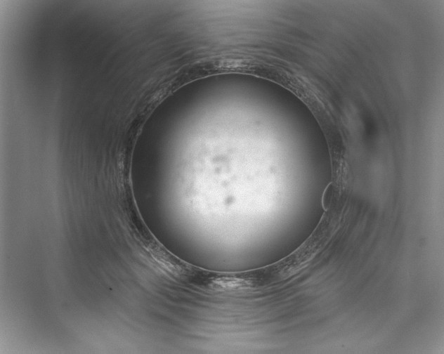 X0000073420557200608111354