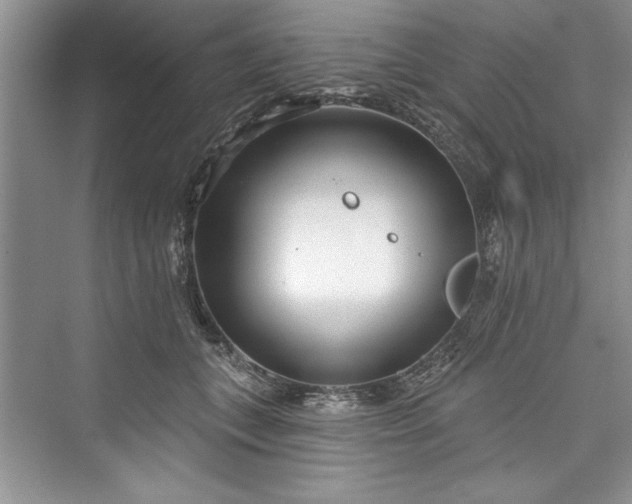 X0000073420559200608111354