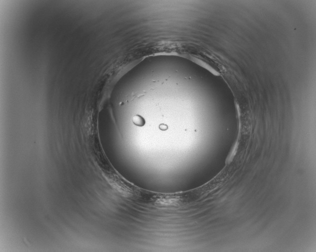 X0000073420560200608111354