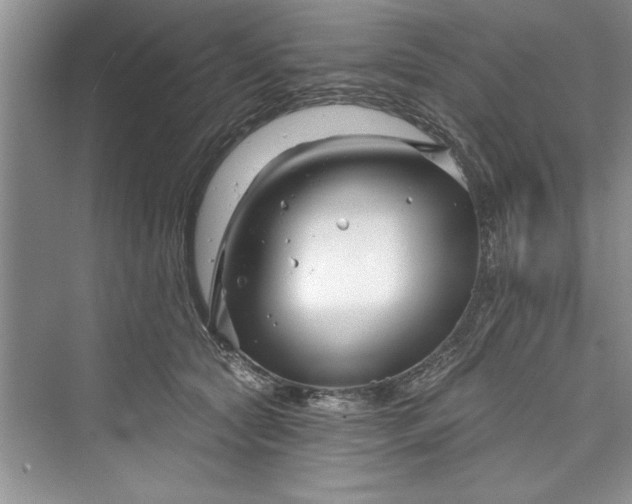 X0000073420561200608111354