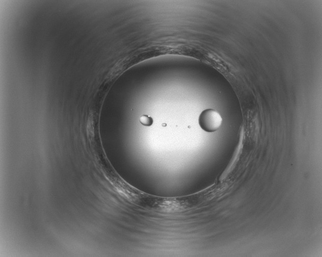 X0000073420562200608111354