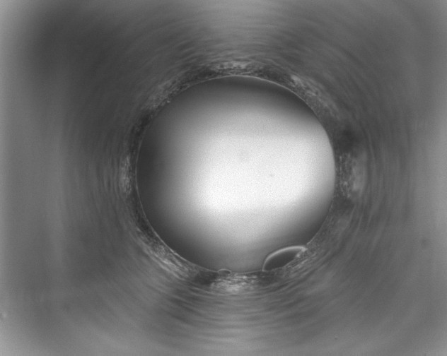 X0000073420563200608111354