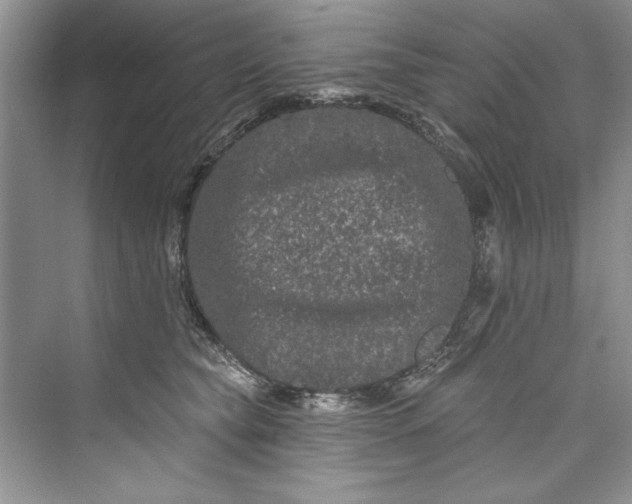 X0000073420565200608111354