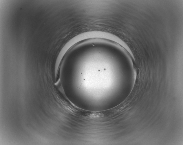 X0000073420566200608111354