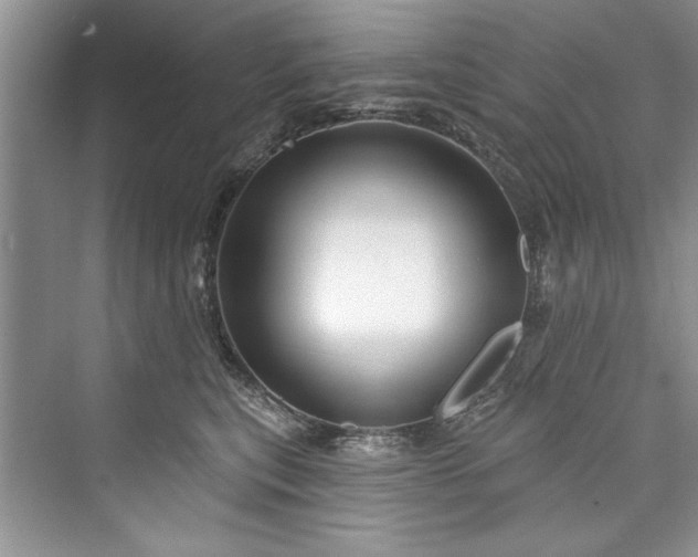 X0000073420567200608111354