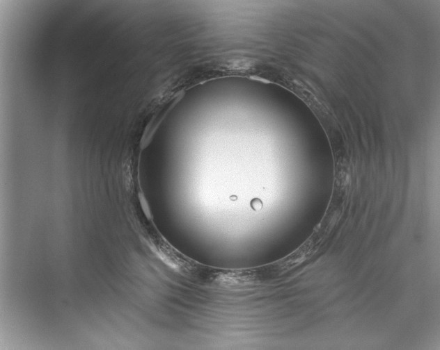 X0000073420568200608111354