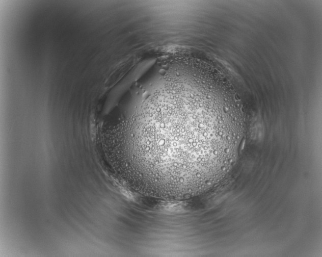 X0000073420569200608111354