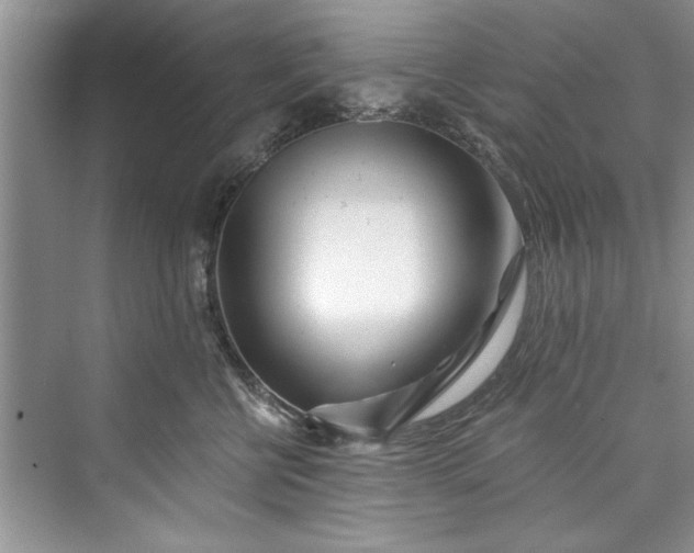 X0000073420570200608111354