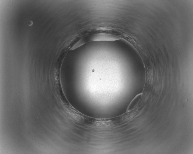 X0000073420571200608111354