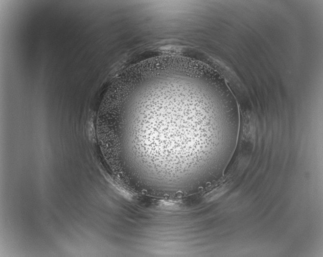 X0000073420573200608111354