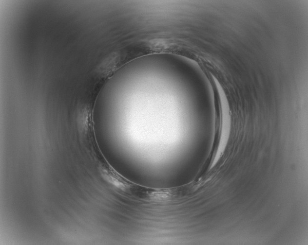 X0000073420574200608111354