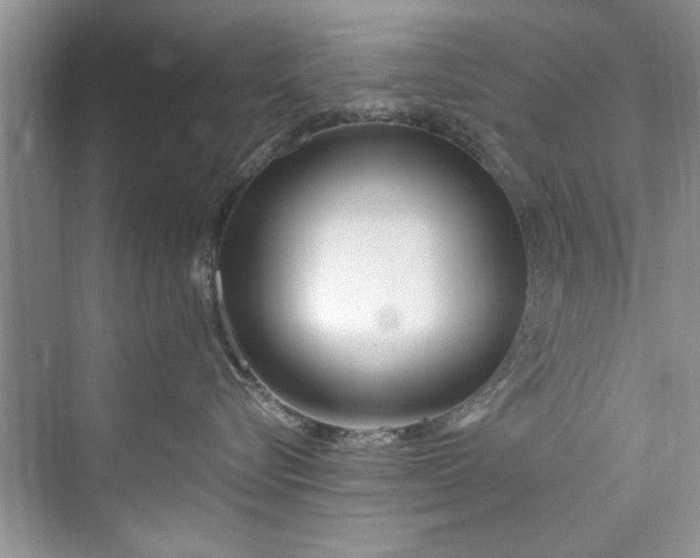 X0000073420576200608111354