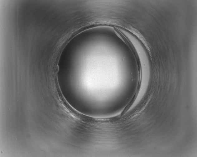 X0000073420577200608111353