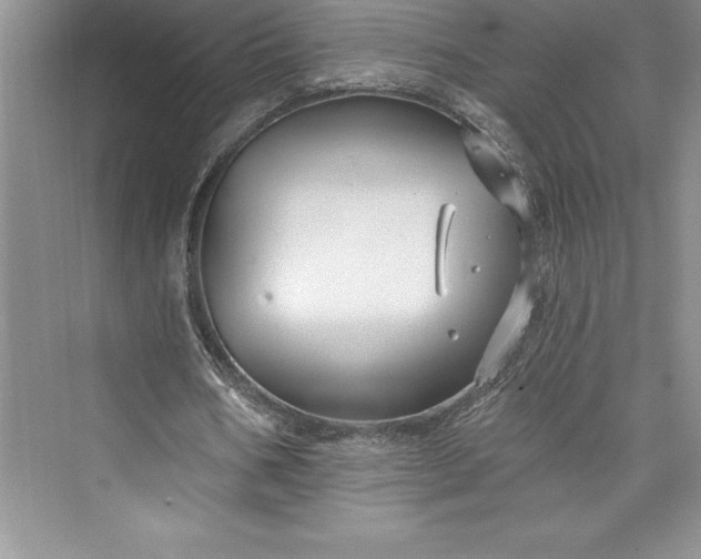 X0000073420578200608111353