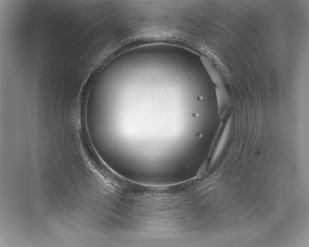 X0000073420582200608111353