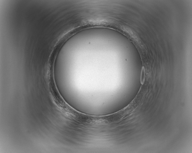 X0000073420583200608111353