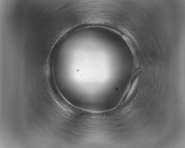 X0000073420584200608111353