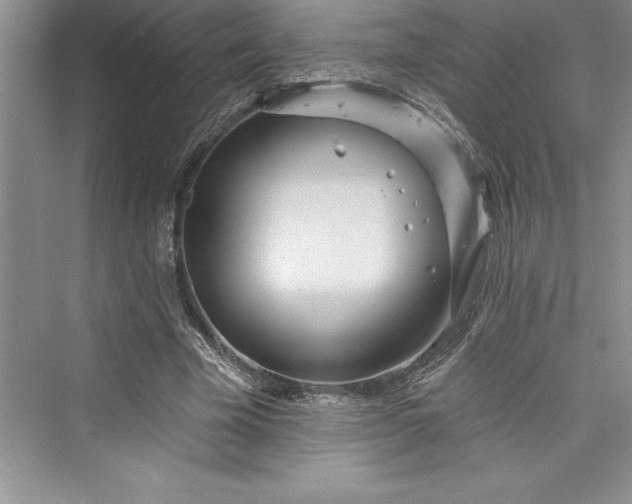 X0000073420585200608111353