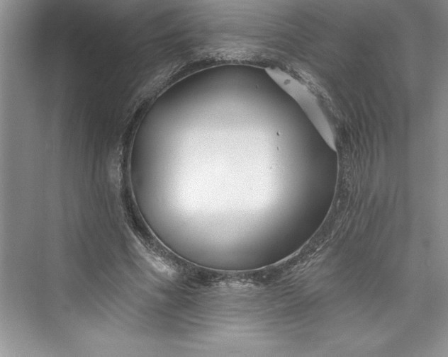 X0000073420586200608111353