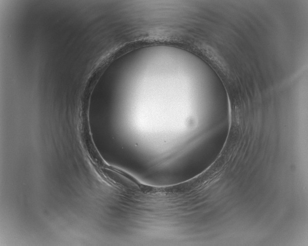 X0000073420588200608111353