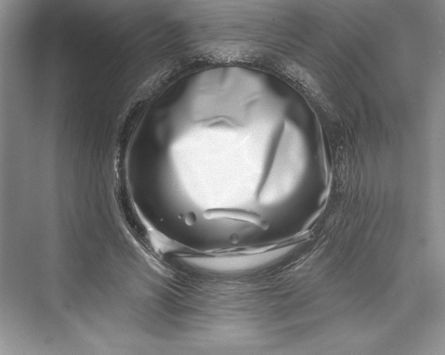 X0000073420590200608111353