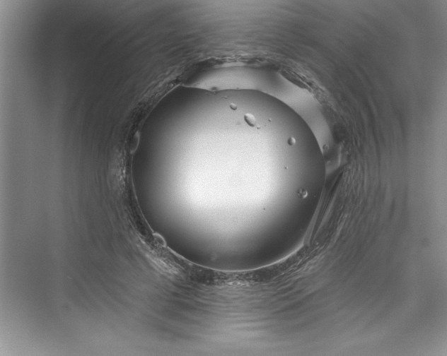 X0000073420593200608111353