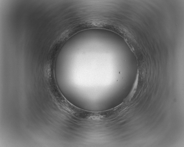 X0000073420595200608111353