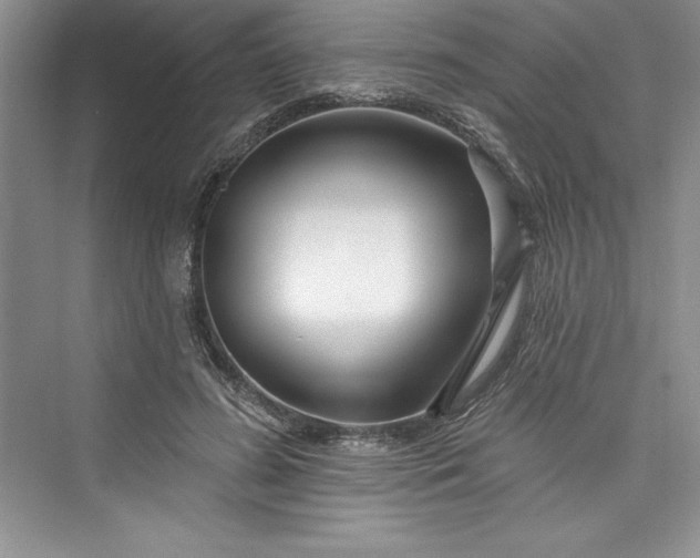 X0000073420596200608111353