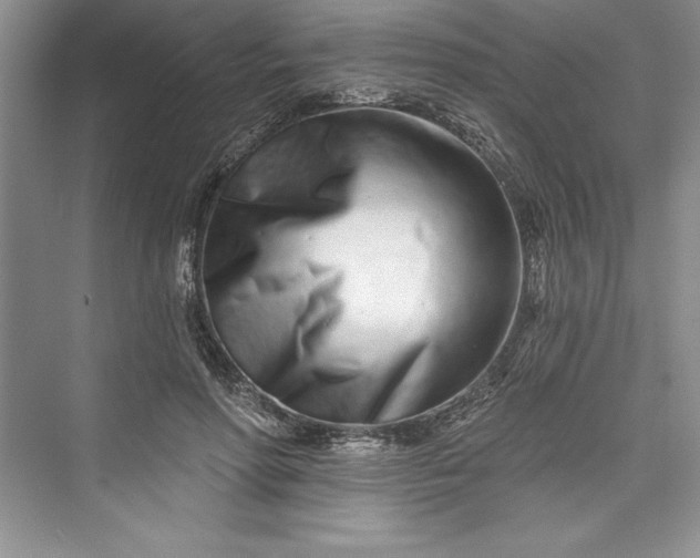 X0000073420598200608111353