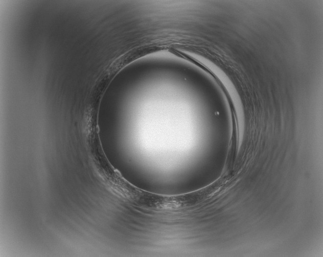 X0000073420600200608111353