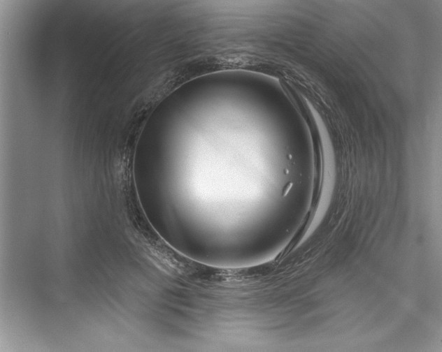 X0000073420601200608111353