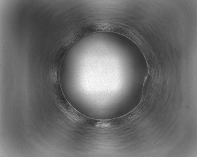 X0000073420602200608111353