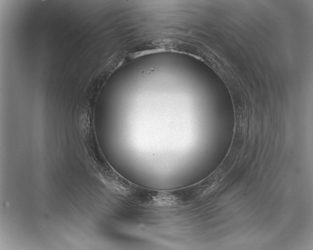 X0000073420603200608111353