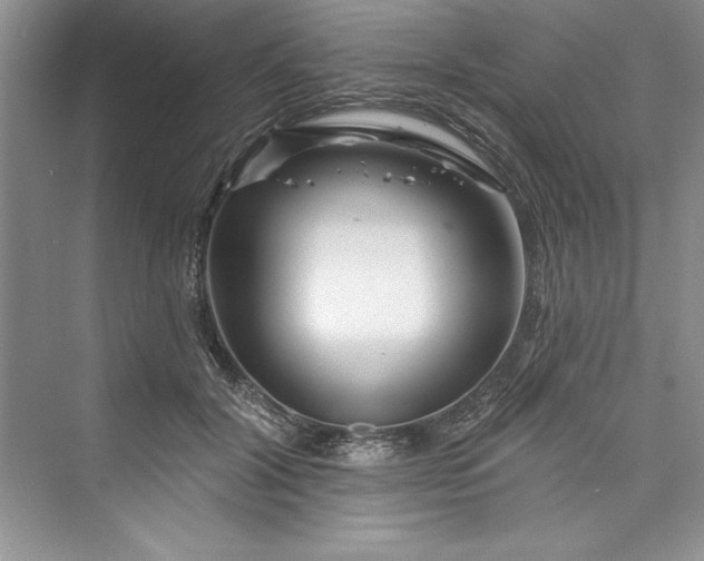 X0000073420604200608111353