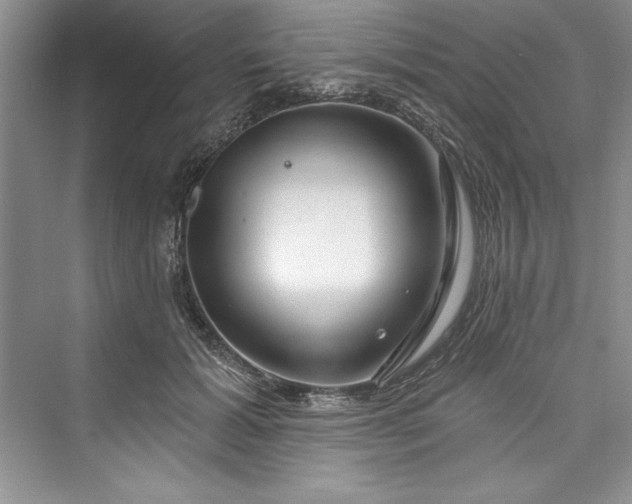 X0000073420605200608111353