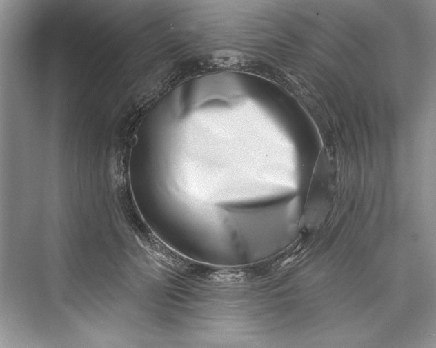 X0000073420606200608111353