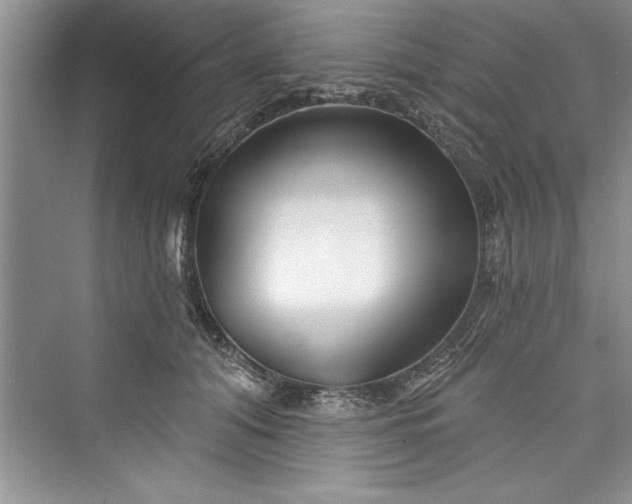 X0000073420608200608111353