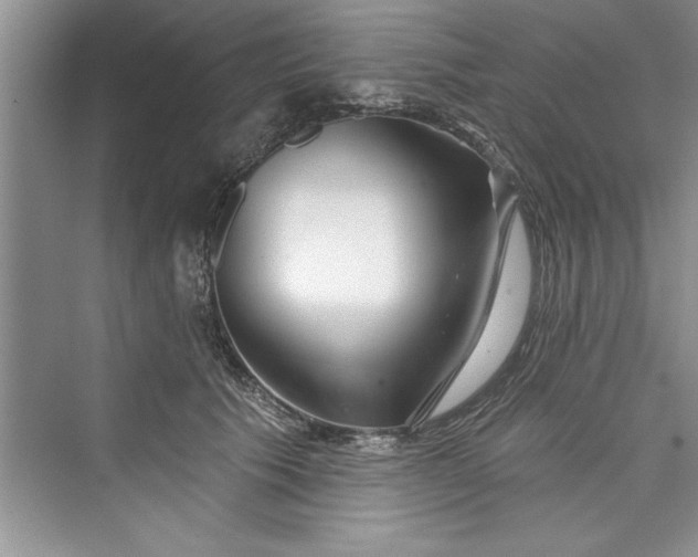 X0000073420609200608111353