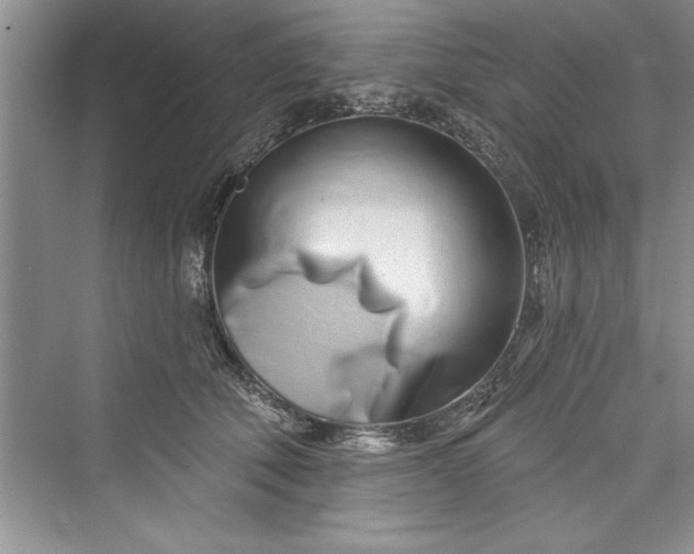 X0000073420610200608111353