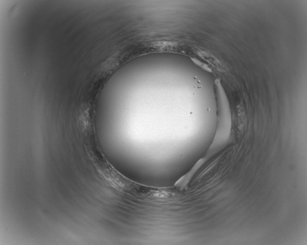 X0000073420611200608111353