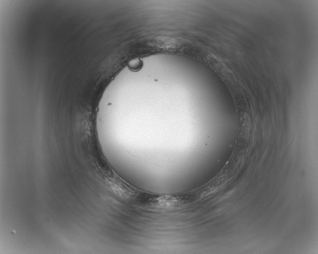 X0000073420612200608111353