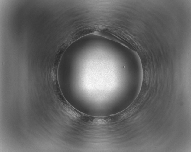 X0000073420613200608111353